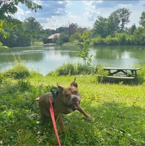 Meet your Posher, Sonia